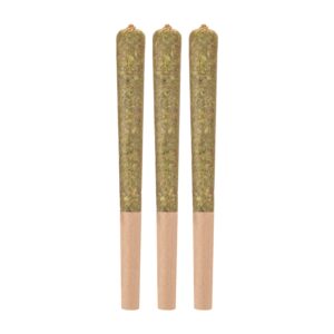 RAINBOW DRIVER PRE-ROLLS