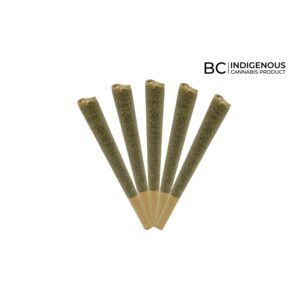 GIDDY UP SATIVA PRE-ROLLS