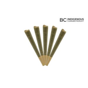 T.M.T SATURN INDICA PRE-ROLLS