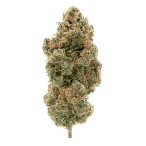 BC ORGANIC TANGERINE SUNRISE