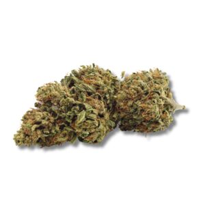 DAY DREAMIN' INFUSED CBD FLOWER