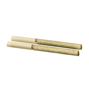 DAYTRIPPERS LIQUID IMAGINATION PRE-ROLLS