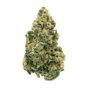 GALACTIC JACK