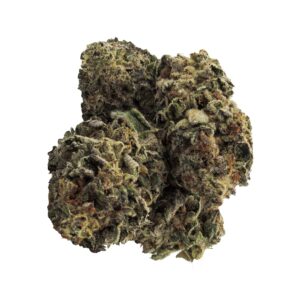 CHERRY PUNCH DRIED FLOWER
