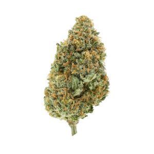 BC ORGANIC PLUMZ LTO