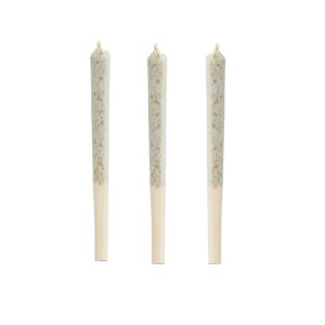 BC ORGANIC PLUMZ PRE-ROLLS LTO