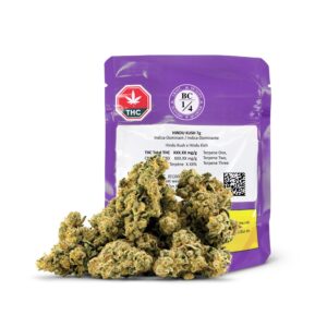 Alternative view of HINDU KUSH LTO